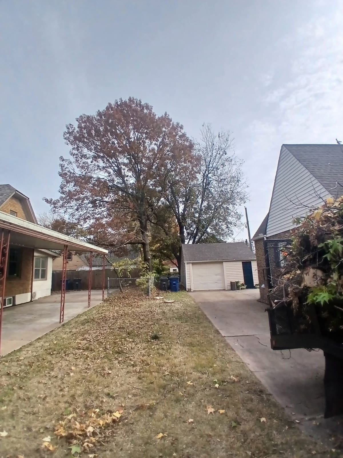 Tree Trimming Removal